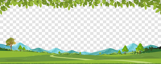 Spring green fields landscape,mountai,green leaves border with copy space on transparent background,Panorama peaceful rural nature in spring with grass land.Cartoon Horizon for Spring,Summer Banner