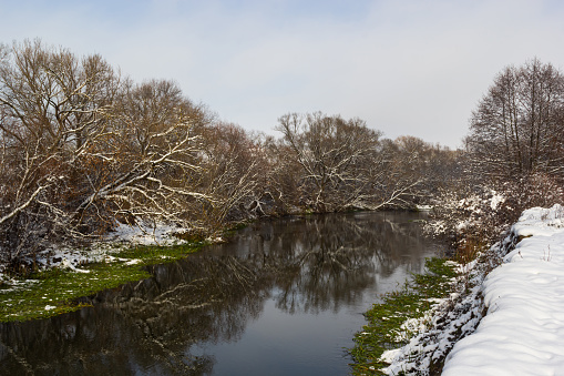 winter river, trees in the snow, view of the snow-covered forest.