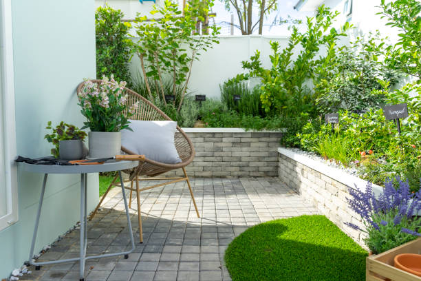 istock Home vegetables growing in a raised bed in a small garden. 1457122812