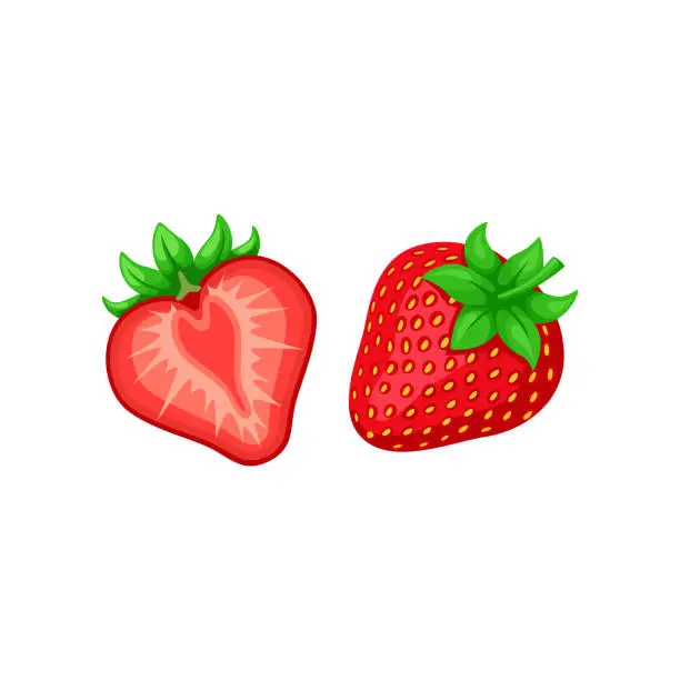 Vector illustration of Strawberries for creating your own ice cream