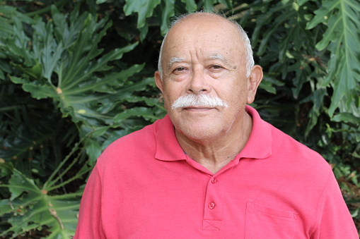 A senior Hispanic man in his seventies has a nice traditional mustache with gray hair. He is bald and has a healthy appearance.