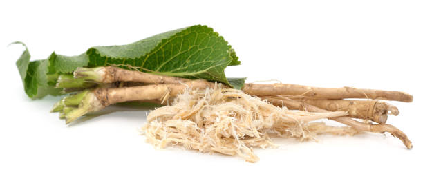 istock Horseradish roots and leaves. 1457132198