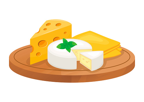 Camembert, emmental and sliced cheese vector illustration isolated on a white background. Cheese board drawing