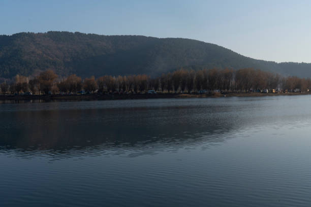 A calm lake on a sunny day