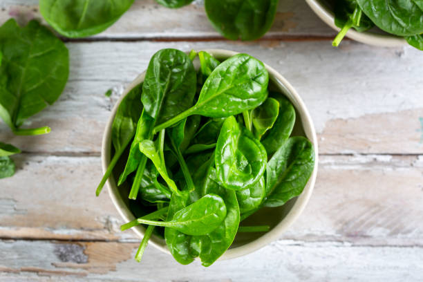 istock Fresh baby spinach leaves 1457134543