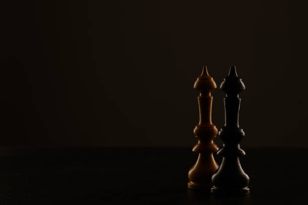 Black and white king chess stock photo