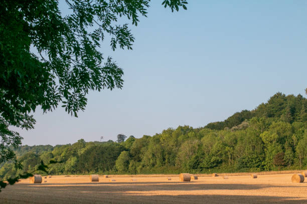 Agricultural Field at Shoreham in Kent, England