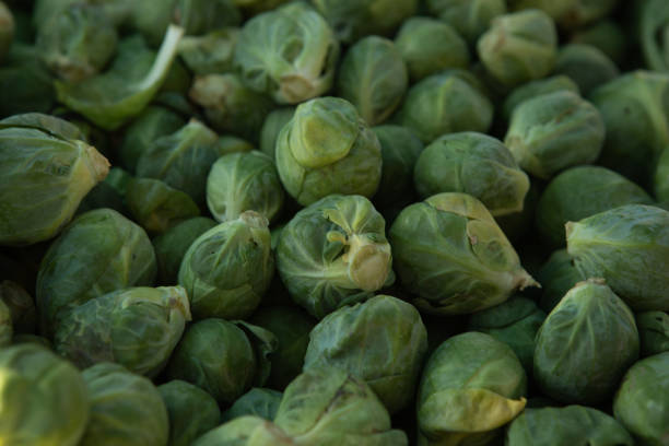 istock Fresh green brussels sprout.background 1457137928