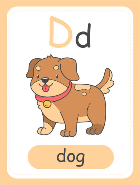 50+ Flashcard Alphabet D Is For Dog Illustrations, Royalty-Free Vector ...