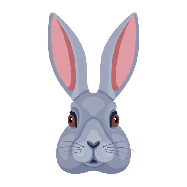 Vector illustration of European Hare. Rabbit Head Logo. Mascot Creative Design.