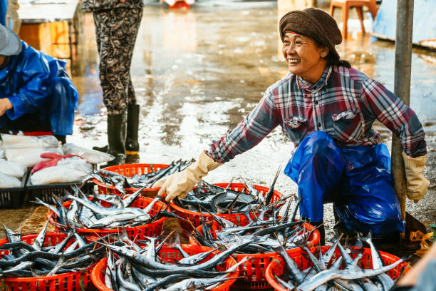 lächelnde vietnamesische frau, die fisch auf dem markt in hoi an, vietnam verkauft - fish fish market catch of fish market stock-fotos und bilder