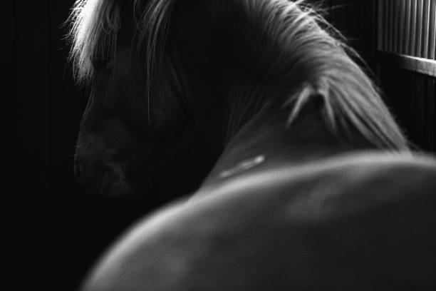 istock Back View of Icelandic Horse 1457147995