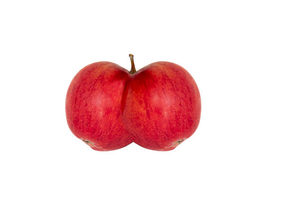 uma maçã dupla vermelha fundida em um fundo branco. - genetic modification genetic mutation genetic research vegetable - fotografias e filmes do acervo