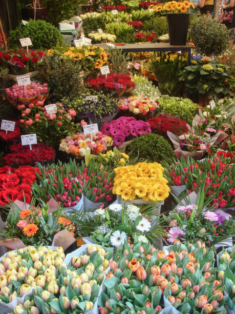 istock Flower shop. Close-up. Amsterdam. Netherlands. 1457149738