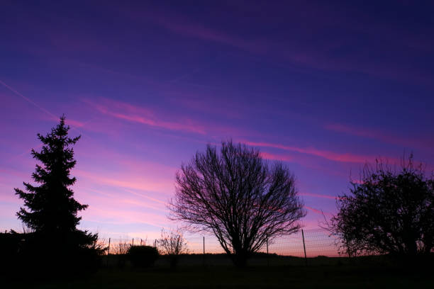 istock Sunset or sunrise in the nature. 1457152045