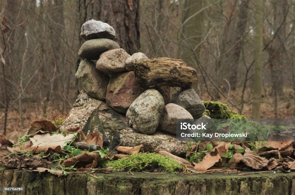 Pile of rocks on top of a tree stump Pile of rocks covered in moss and leaves placed on top of a tree stump. Taken in Grunewald, the "Green Forest", a 3000 hectrare forest to the southwest of Berlin, a well maintained public park and frequented by all manner of visitors. Backgrounds Stock Photo