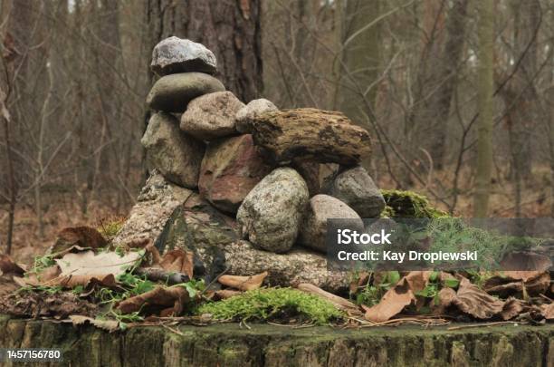Pile Of Rocks On Top Of A Tree Stump Stock Photo - Download Image Now - Backgrounds, Berlin, Color Image