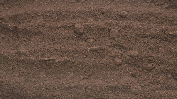 istock Black land for plant background. Top view. 1457156787