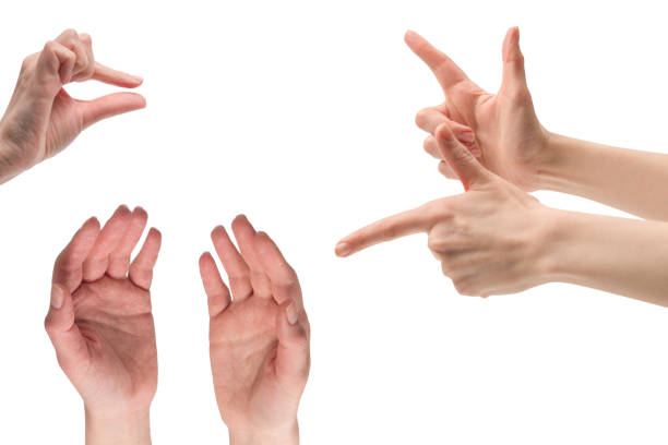 istock Woman hand isolated on a white background. 1457156791