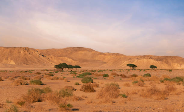 istock Eastern desert .Wadi Meleha . .Red sea .Egypt. 1457157861