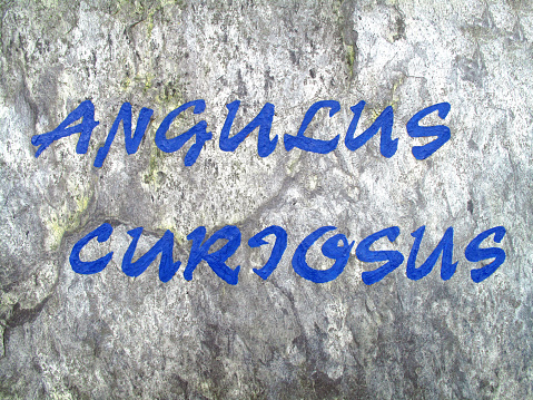 'Angulus curjosus' (Curious corner - neugierige Ecke) written in blue paint on a house wall.