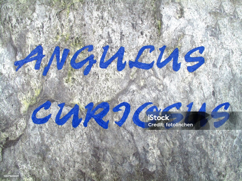 'Angulus curjosus' - 'Curious corner' 'Angulus curjosus' (Curious corner - neugierige Ecke) written in blue paint on a house wall. Alphabet Stock Photo