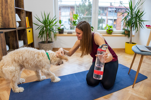 Young Caucasian woman playing with her dog, while taking a break from home workout