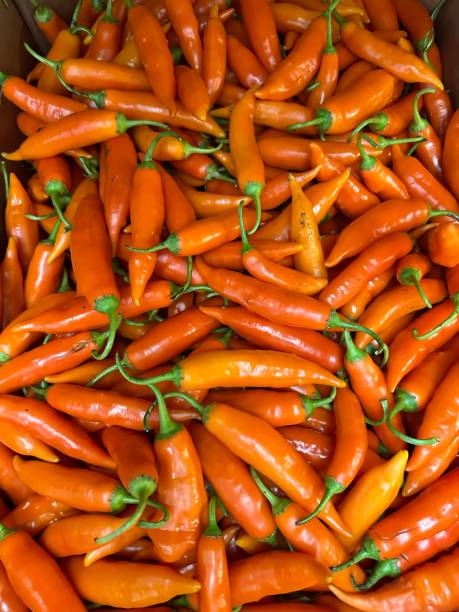 Fresh chilli peppers Fresh chilli peppers at Funchal Market, Madeira Island madeira sauce stock pictures, royalty-free photos & images