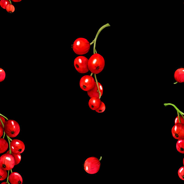 무늬. 수채화 빨간색 익은 건포도 열매는 검은 배경에 격리되어 있습니다. 손으로 그린 식물 그림입니다. 클립 아트 베리 가지입니다. 비바 마젠타 색상. - viva magenta stock illustrations