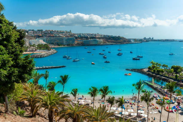 istock Anfi del Mar resort from the air shot 1457171403