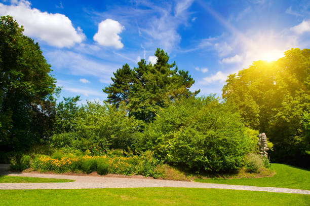 istock Beautiful garden with walkways for walks and a lawn. 1457182921