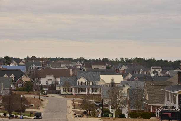 istock The Sprawling Neighborhood On A Cloudy Morning 1457183970