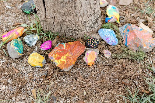 hand-painted stones lie on the ground next to a tree
