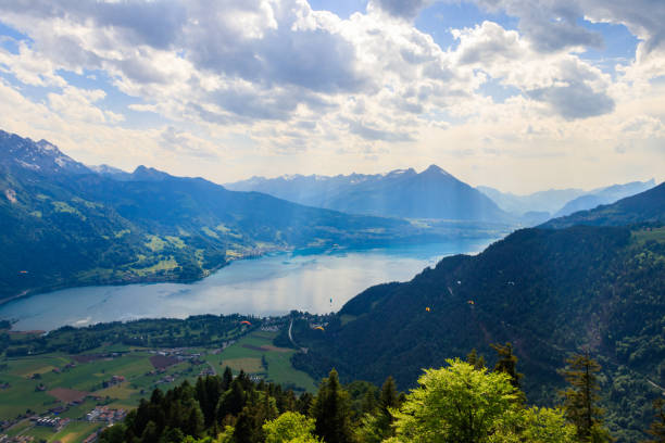 захватывающий вид с воздуха на озеро тун и швейцарские альпы со смотровой площадки хардер кульм, швейцария - thun aerial view switzerland tree стоковые фото и изображения