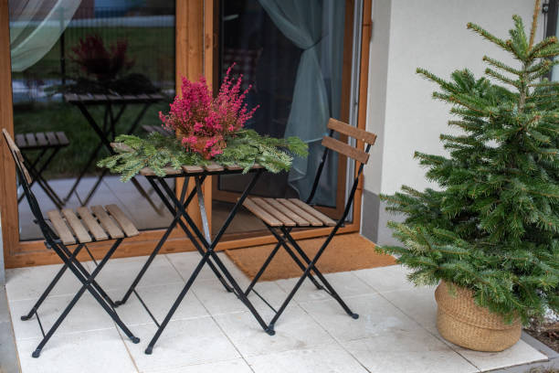 istock Heather plant in a pot on the balcony. 1457190017