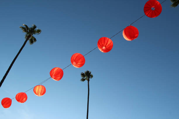 istock Festive red paper lanterns hanging with palm trees on each side 1457194121