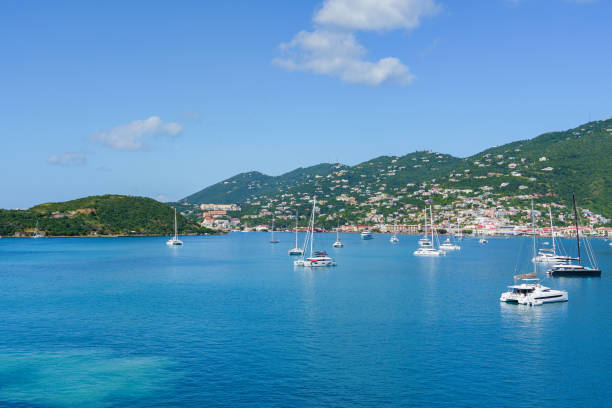 istock Catamarans in the harbor of St. Thomas 1457194264