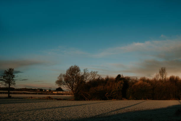 A wide shot of a frosty landscape during sunrise / sunset.