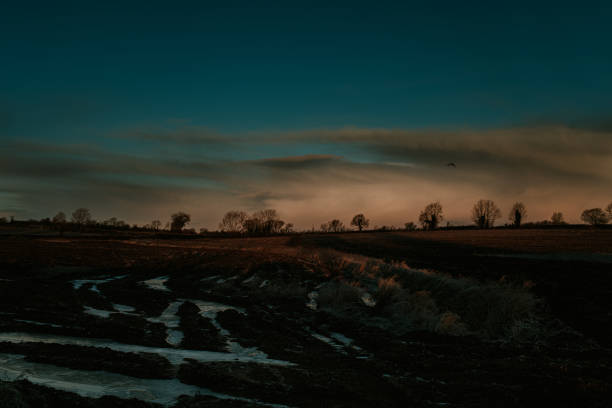 A wide shot of a frosty landscape during sunrise / sunset.