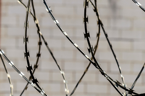 Close Up Of Concertina Razor Barbed Wire Fence On Blue Sky Background. Security And Protection