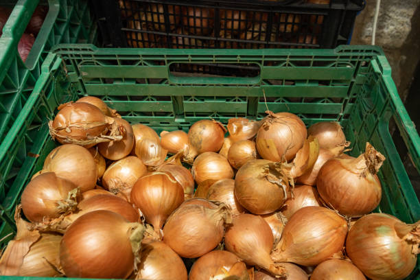 White Onions at Rethymnon on Crete, Greece