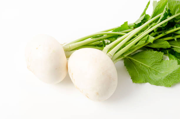istock Japanese White Turnip on white background 1457207979