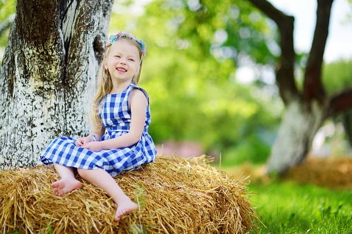 Adorable little girl sitting on a haystack in apple tree garden on warm and sunny summer day
