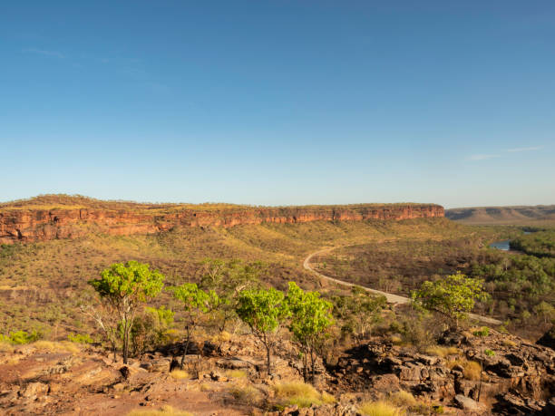 vue en plein angle d’un vaste paysage - emu australia northern territory outback photos et images de collection