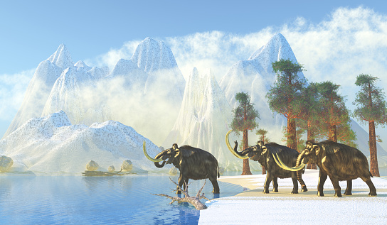 Winter thawing brings a herd of Woolly Mammoths down to drink from a lake during the Pleistocene Period.