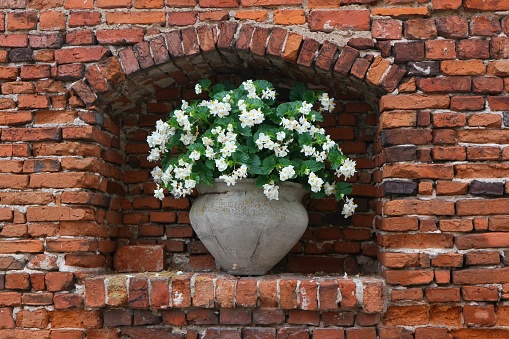 A gray pot with white flowers set in the bay window of a red brick wall.