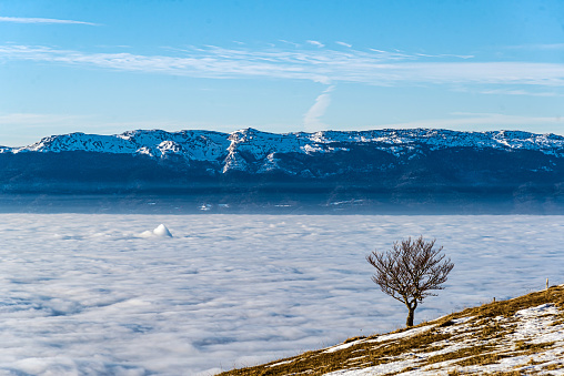 The popular ski resort of Kellaria, Parnassus mountain, Greece, during winter time with fresh snow and sunshine