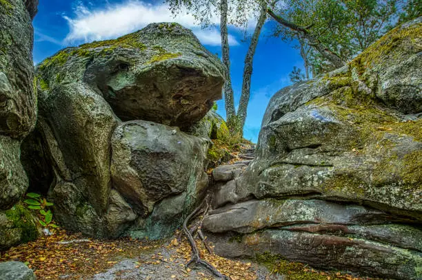 Specific landscape with rocks and forest in Fontainebleau Forest 60 km from Paris, France. The forest is close to Barbizon where it was a famous painting school and it is the most popular bouldering destination in the world.