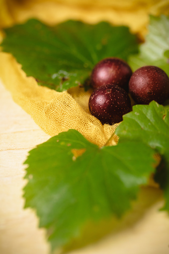 Yellow bowl of freshly picked muscadine grapes on a yellow background.