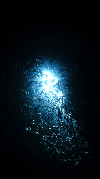 istock Shoal of fish in rays of sunlight inside a cave 1457223357